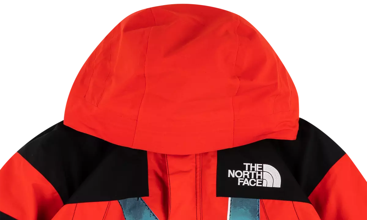 Supreme 2019 Cruise Supreme The North Face Statue of Liberty Mountain  Jacket Red