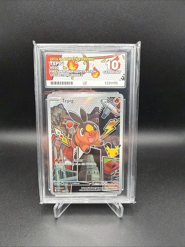 Pokémon TCG Tepig 050 Ace 10 First Partner Illustration