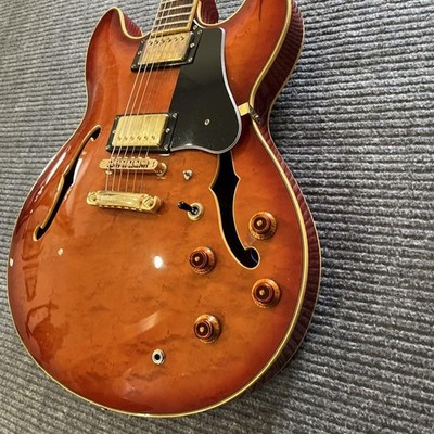 Semi-Acoustic Electric Guitar Vester MOD.800 Sunburst Made in