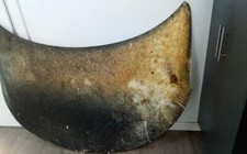 Capote Renault Kadjar