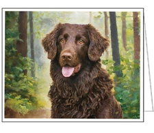 Curly-Coated Retriever Fine Art Notecards - Set of Six
