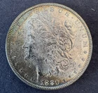 1880 Morgan Silver Dollar