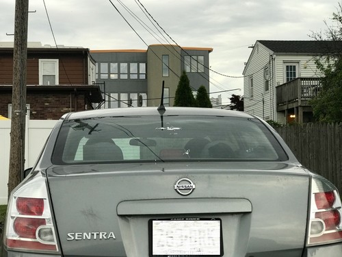 7" inch Short Black Rod Antenna Mast Radio AM/FM for NISSAN SENTRA 2007-2012 New - Picture 20 of 24