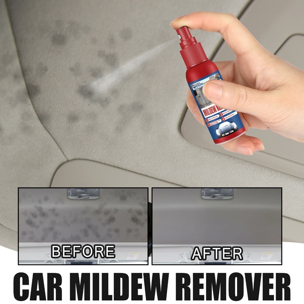 Car Upholstery Seats Mold Removal Car Mildew Remover Car Interior