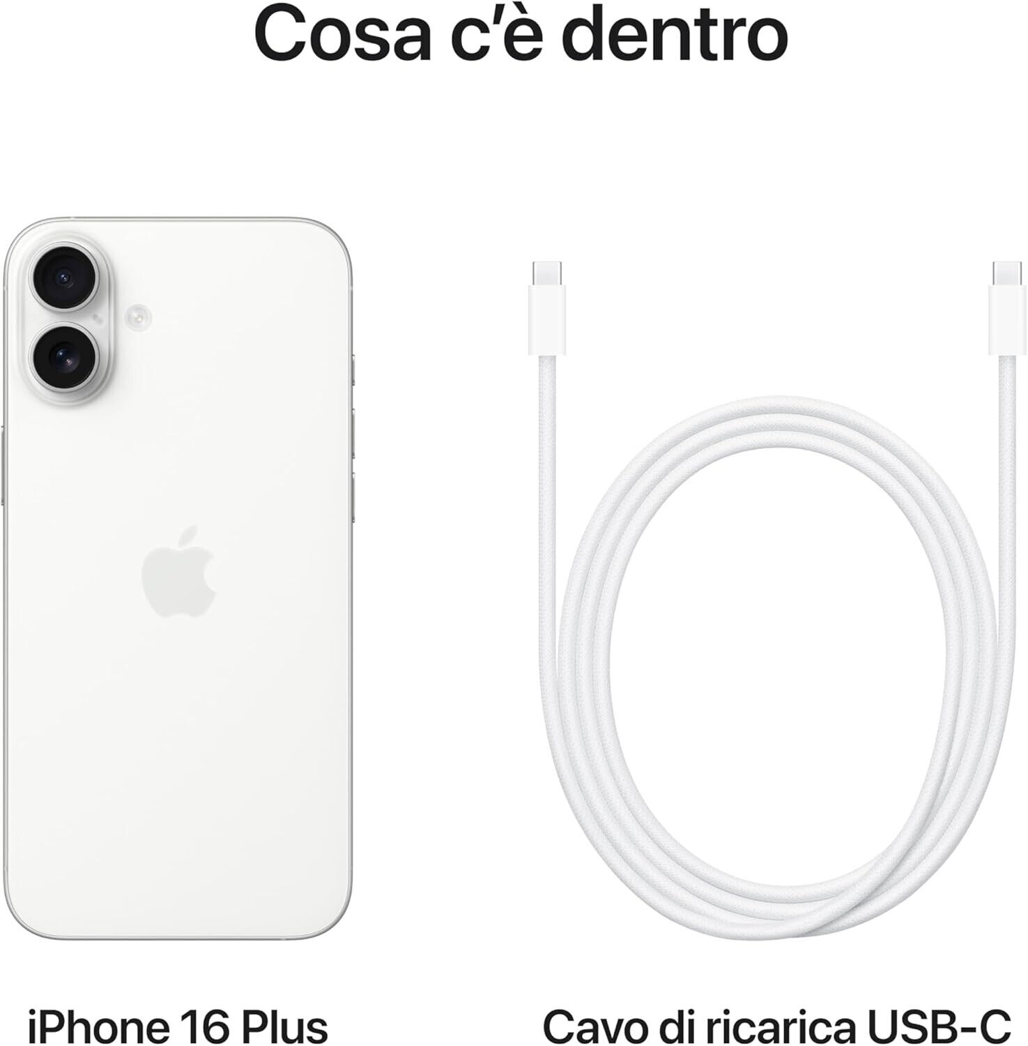 Foto 5 di 6