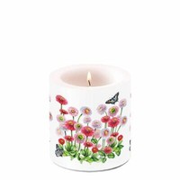 Kerze, Lampionkerze Bellis 9Cm Ambiente | Blumen