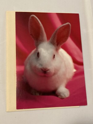 Vintage Marcel Schurman Easter Greeting Card Cute Bunny Rabbit
