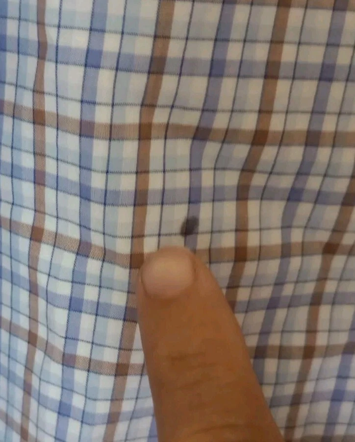 Scott Barber Long-Sleeve Button-Down Shirt Size XL Men's Plaid Blue/Gold/White  - Image 3 of 4