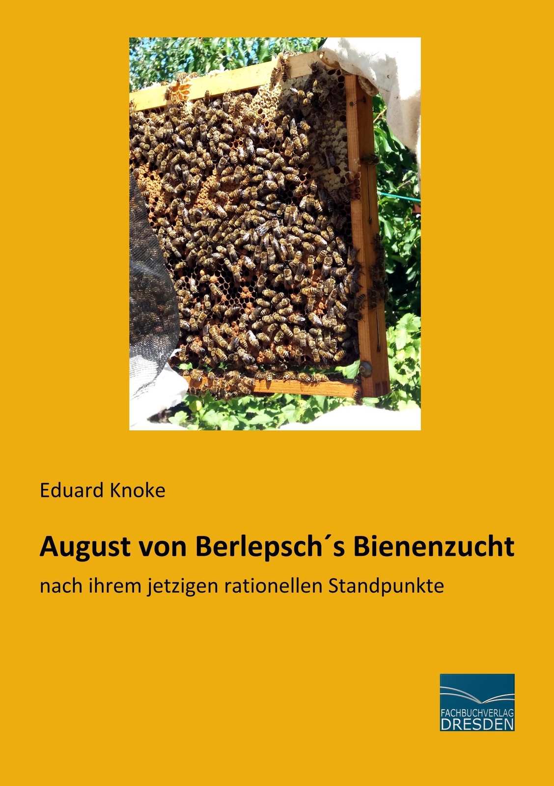 Thumbnail - August Von Berlepsch´s Bienenzucht | Nach Ihrem Jetzigen Rationellen
