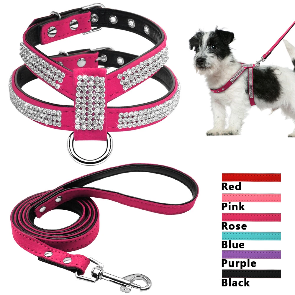 Harnais et laisse pour chien petite taille Cuir avec Strass Bouledogue  francais