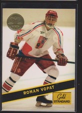 Major Minor League CHL OHL WHL LHJMQ ECHL Cards Inserts Rookies Collection (2/2)