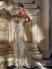 Champagne Lining Wedding Dresses for Women Strapless Lace Wedding Dress