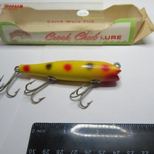 Creek chub Darter | eBay