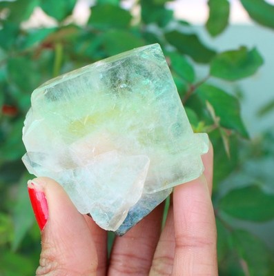 Green Apophyllite Crystals On Matrix Minerals Specimen #A9