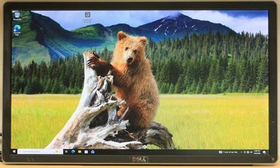 Dell P2414Hb LED Backlit IPS Monitor: 1920x1080 VGA/DVI-D/DP, USB Hub, w/stand