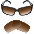 PolarLens Polarizzati Argento Ricambio Lenti For-Ray Divieto Wayfarer - Foto 12