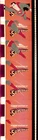 The New Adventures of Superman & Krypto the Superdog Vintage 16mm Color film ree