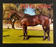 1980s Fleet Twist Race Horse Stud Old English Rancho Ontario CA Vtg Brochure