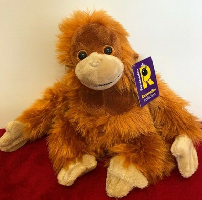 iceland orangutan teddy