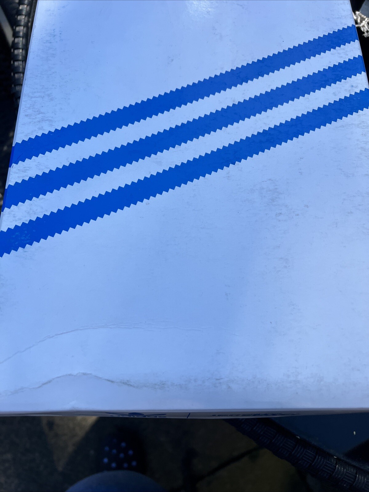 Picture 5 of 5