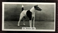 Tobacco Card, John Sinclair, CHAMPION DOGS, A Series, 1938, Fox Terrier, #5