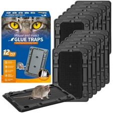 Mouse Traps 12 Pack Sticky Mouse Traps Indoor for Home Pre-Baited Non-Toxic B...