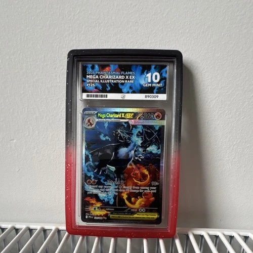 ACE Grading 10 Mega Charizard X ex #125 SIR (Perfect Sub Grades)