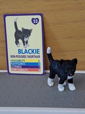 1990's MEG Kitty In My Pocket With ID Card No. 23 Blackie Non Pedigree Shorthair