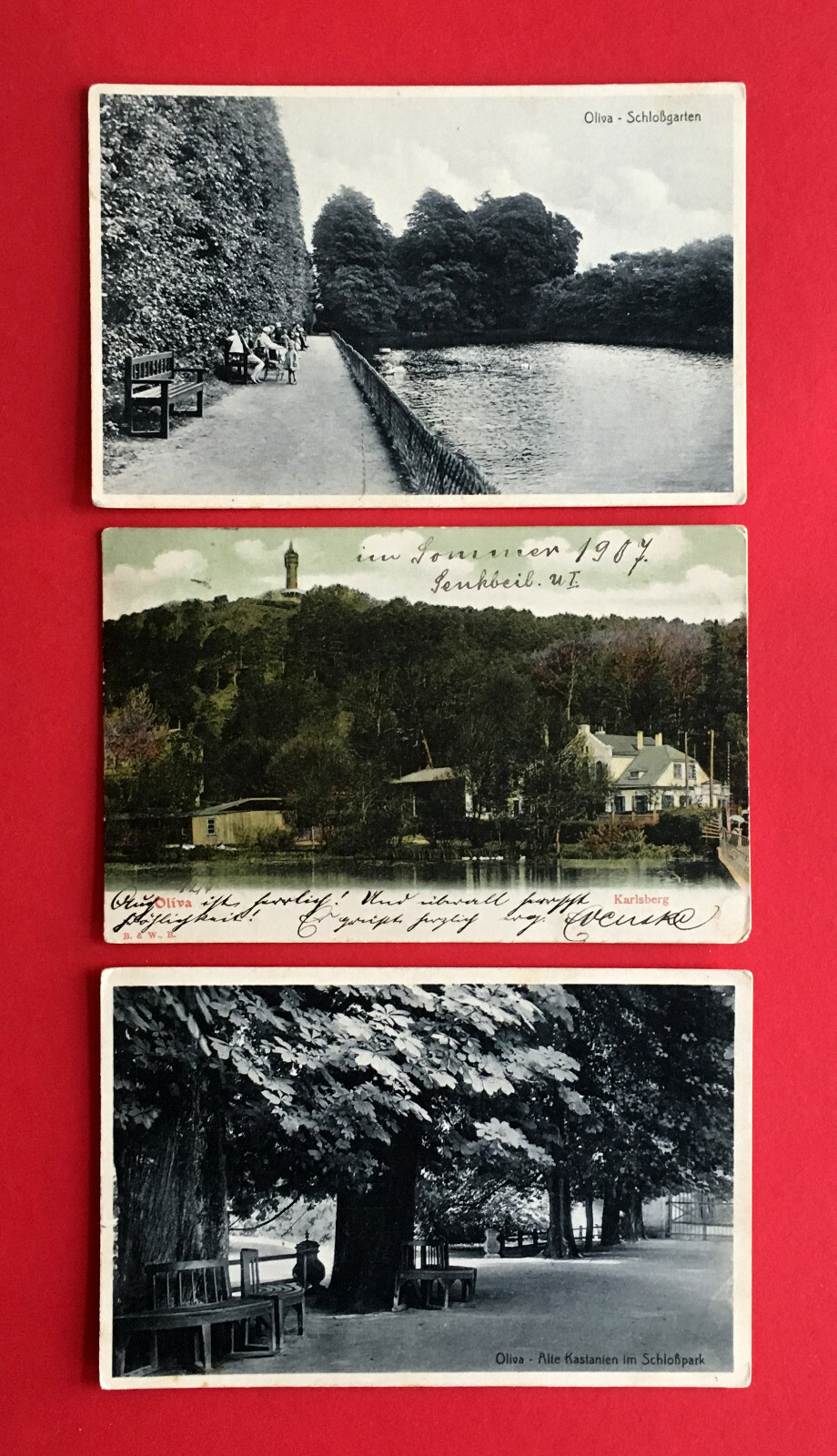 3 x AK DANZIG Oliva 1907/30 Schlossgarten und Karlsberg ( 50611