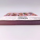 Foto 14 di 24