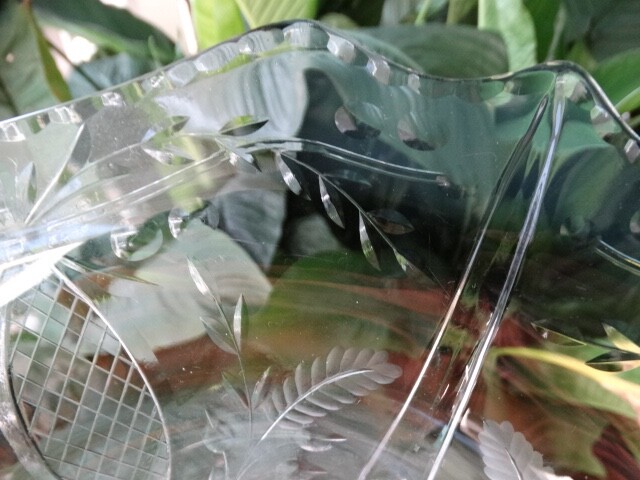 Picture 8 of 19