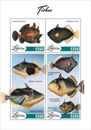 Timbres Liberia 2022 MNH feuille miniature poissons 4 timbres - Photo 1/1