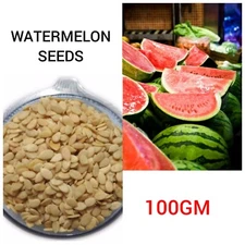 Watermelon Seeds for Eating | Magaj Seeds 100gm Nutrients Rich | Source of Antio