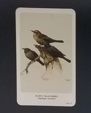General Cigar Company Trading Card - No. 11 Rusty Blackbird - Card 2