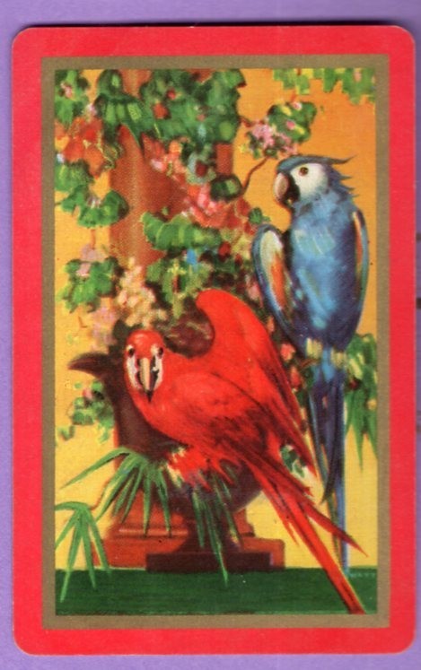 Single Swap Playing Card PARROTS RED BLUE COLORFUL BIRDS AMAZING ART VINTAGE