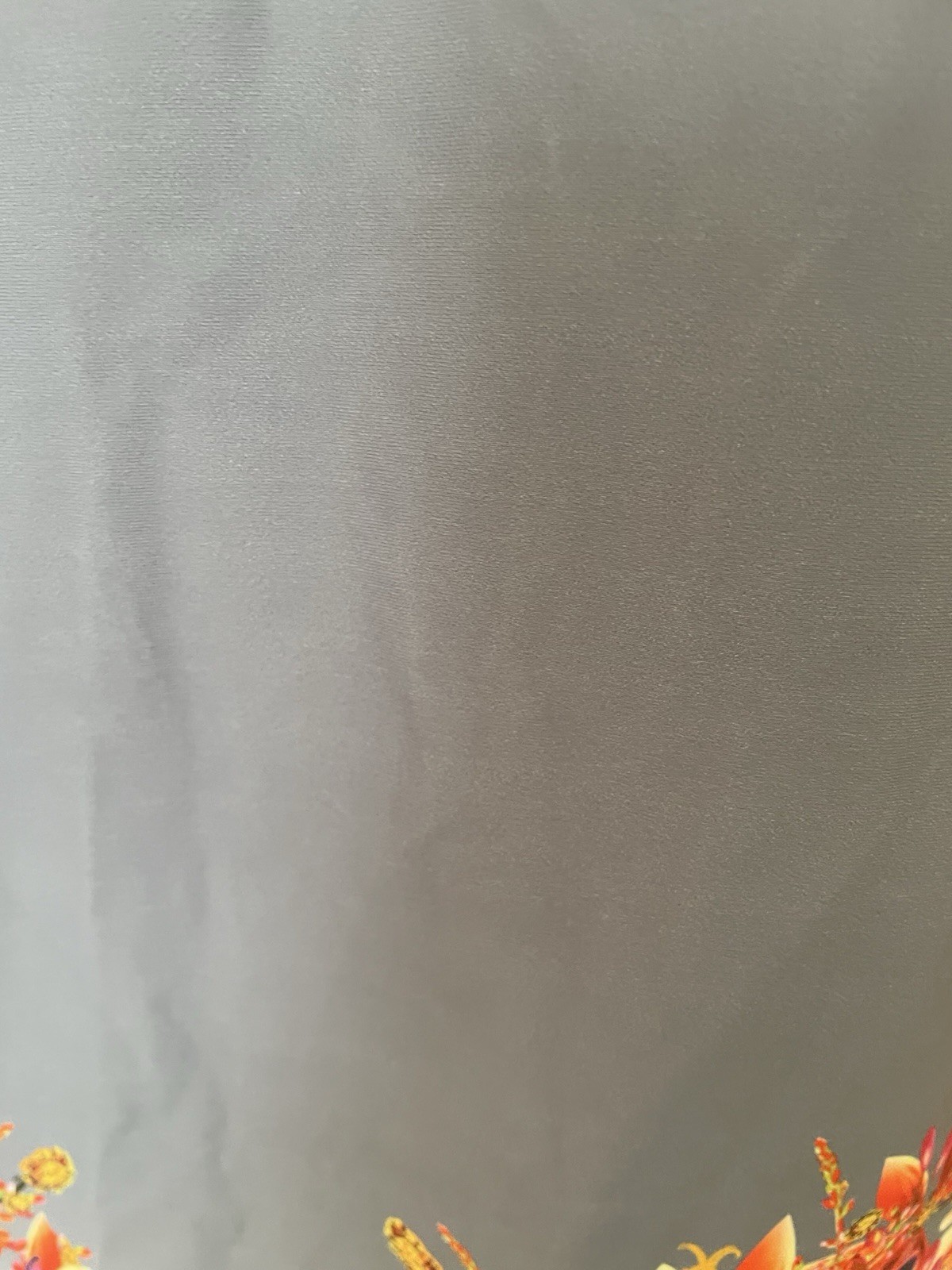 Picture 8 of 19