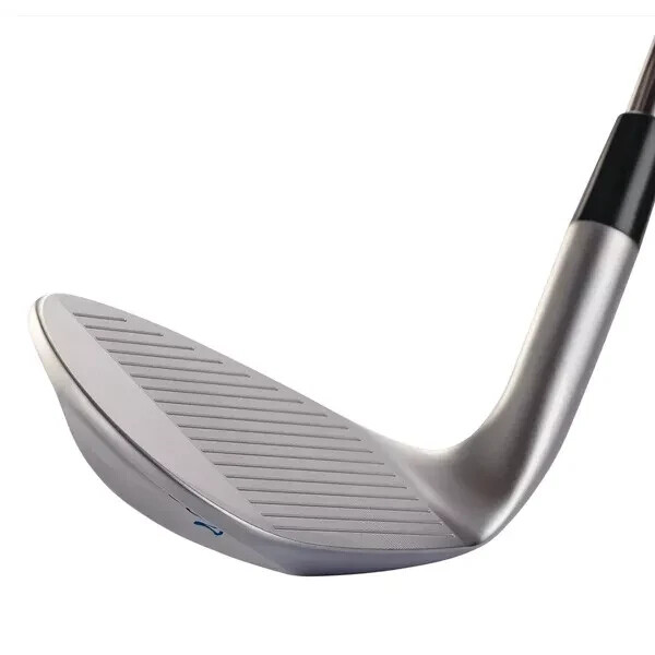 KASCO GOLF JAPAN 2023 DOLPHIN WEDGE DW-123 NS PRO 950GH Neo Steel