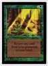 Regrowth - MTG International Collectors Edition - RareCo