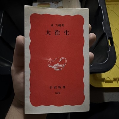 Daiojo by Mizuho Mizuno Japanese Literary Novel Paperback for Readers