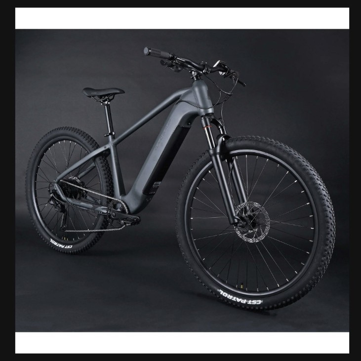 Claud Butler Wrath 1.0 29" Grey