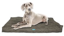 Five Diamond Collection Shredded Memory Foam Orthopedic Dog Bed, Made In USA Gr