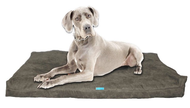 shredded memory foam dog bed