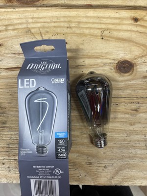 Dimmable LED Smoke Glass Vintage Edison 40W Equivalent ST19 NIB - Feit Electric