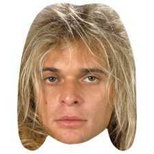 David Lee Roth (80s) Celebrity Mask, Flat Card Face, Fancy Dress Mask