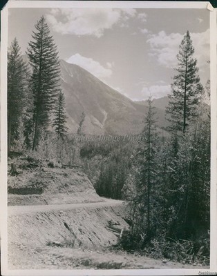 1923 Scene Above Gibsons Camp Kootenay National Park Bc Canada Travel Photo 8x10