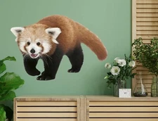 3D Red Panda Beard A630 Animal Wallpaper Mural Poster Wall Stickers Decal Zoe