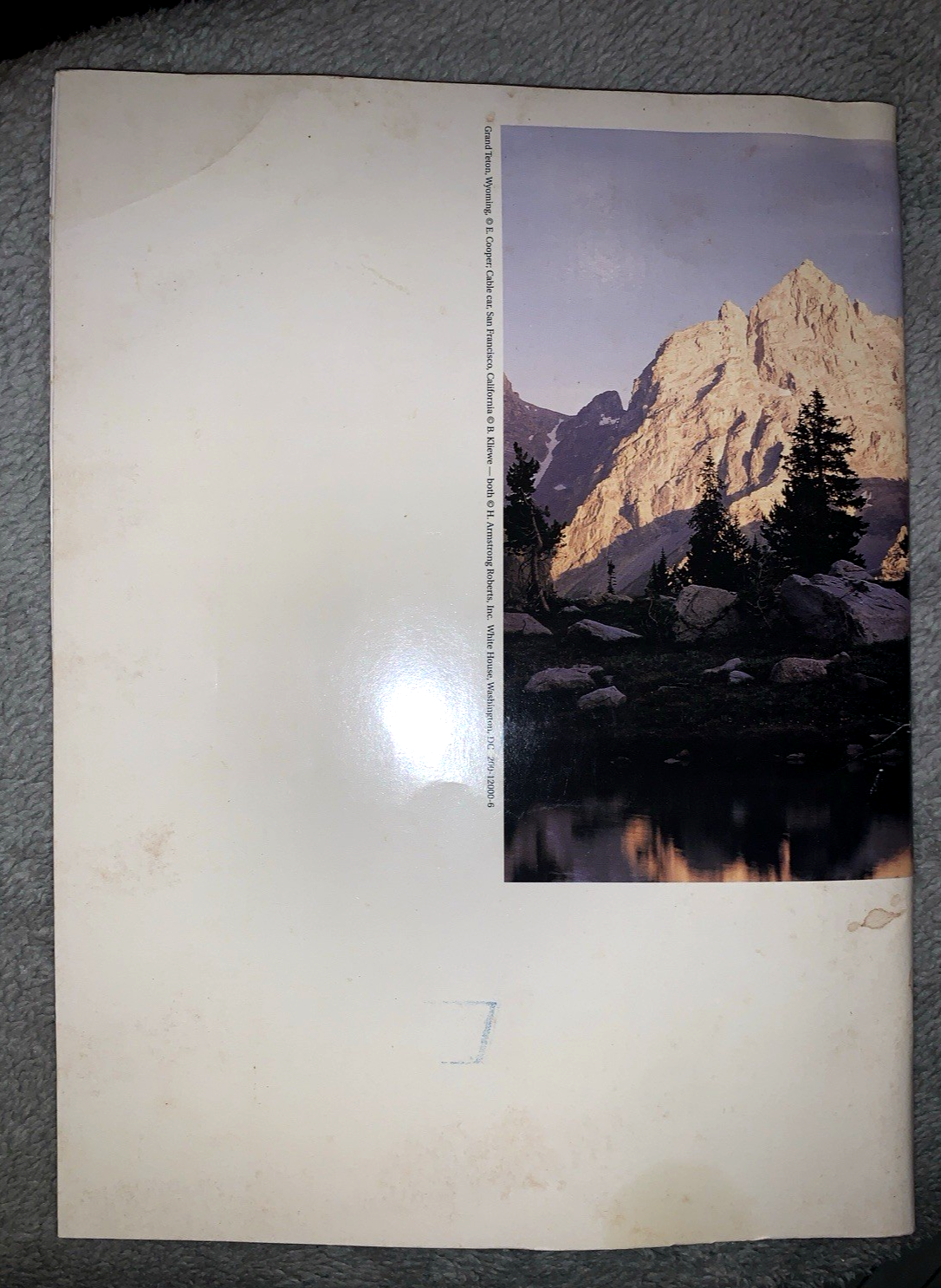 Picture 3 of 7