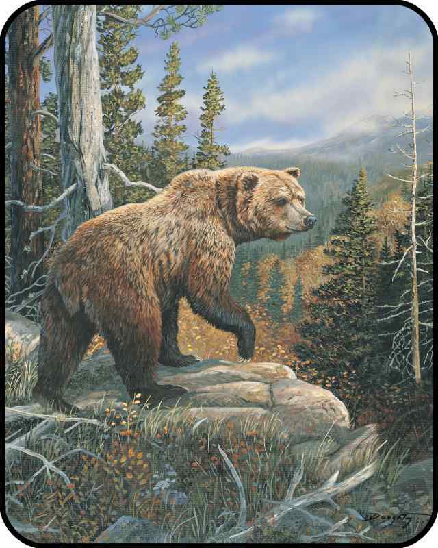 BIG GRIZZLY BEAR GRIZZLIES DOMAIN Bedroom Bed HEAVY Weight Blanket