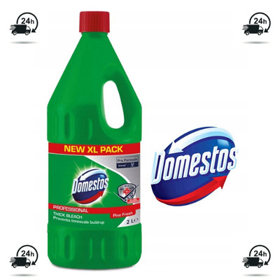 Domestos Professional Pine Fresh 2L | Hygienereiniger & Sanitärreiniger