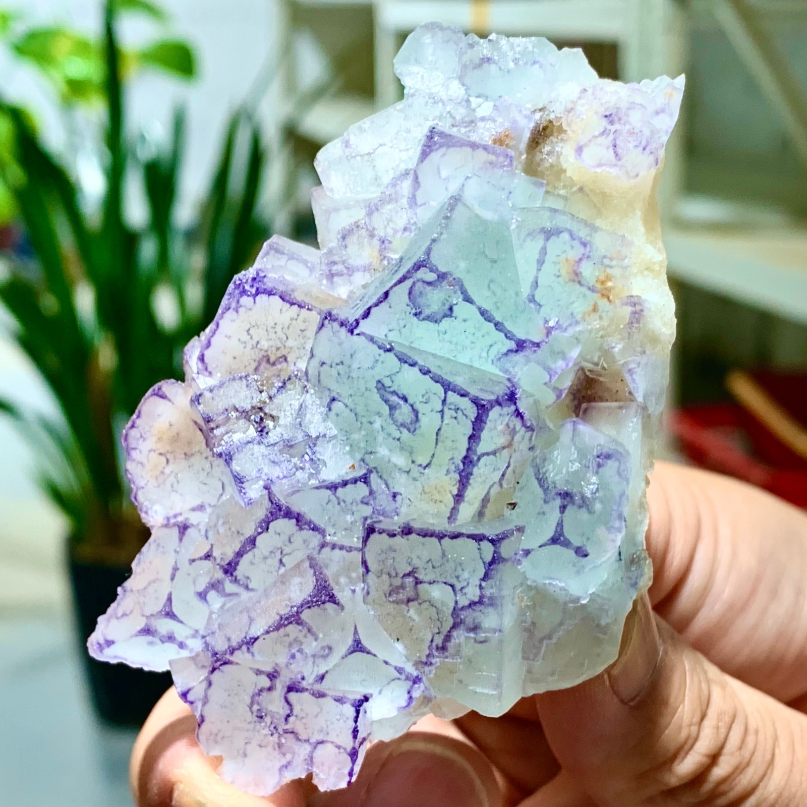 Natural Fluorite Crystal Sample Purple Green Cubic Mineral Yaogangxian 106G